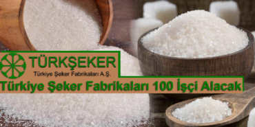 Türkiye şeker fabrikaları genel müdürlüğü 130 işçi alacak türkşkerr