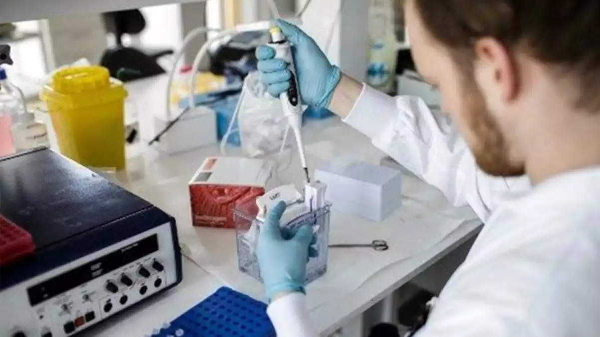 3 Üniversitede Korona Aşısı Testleri Yapılıyor