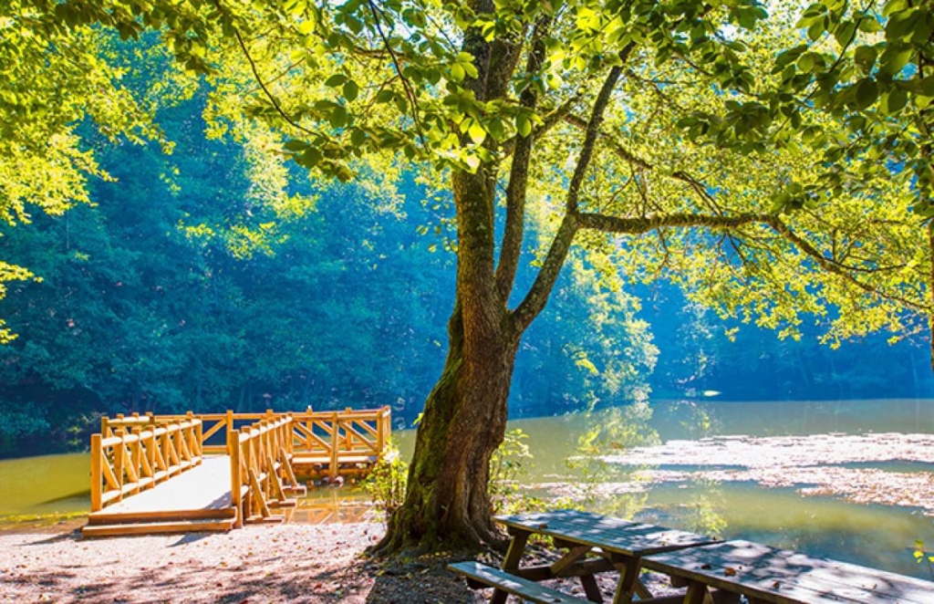 İstanbullu Özel Tatil İzin Belgesi ile İstanbul Dışına Çıkabilecek