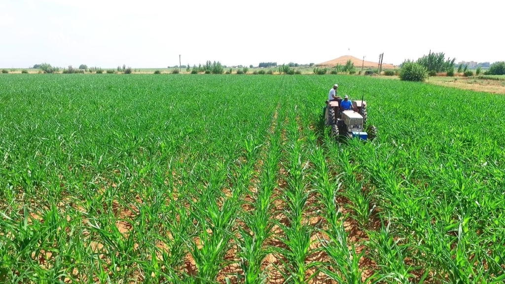 E-Tarım Portalı Bir İlki Gerçekleştiriyor