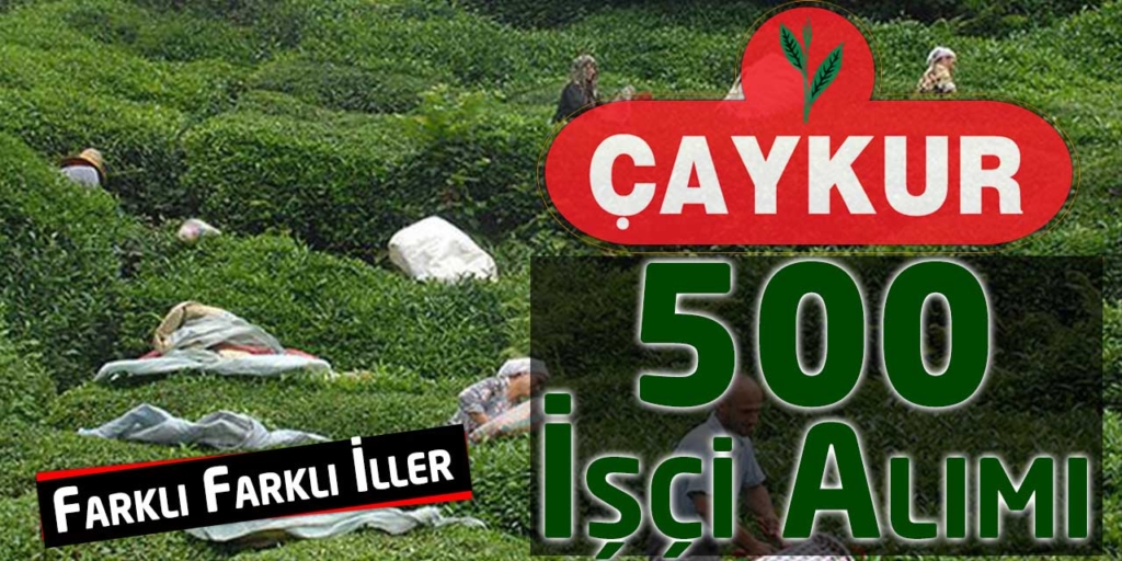 Çay İşletmeleri KPSS Şartlı-Şartsız 500 Personel Alımı