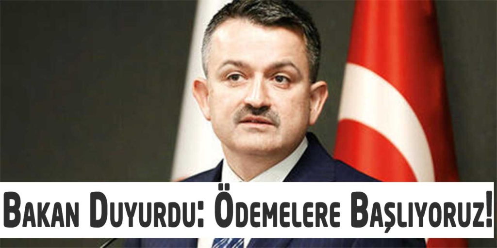 Bakan Duyurdu: Destek Ödemeleri Başlıyor!