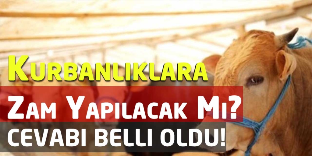 Kurbanlık Fiyatlarına Zam Gelecek Mi? İşte Cevabı…