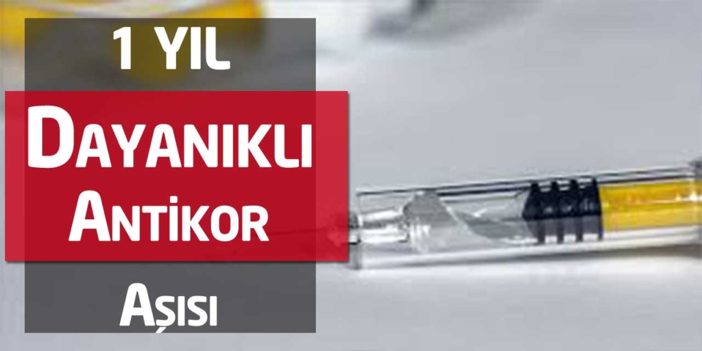 Yeni Antikor Aşısı 1 Yıl Koruyor!