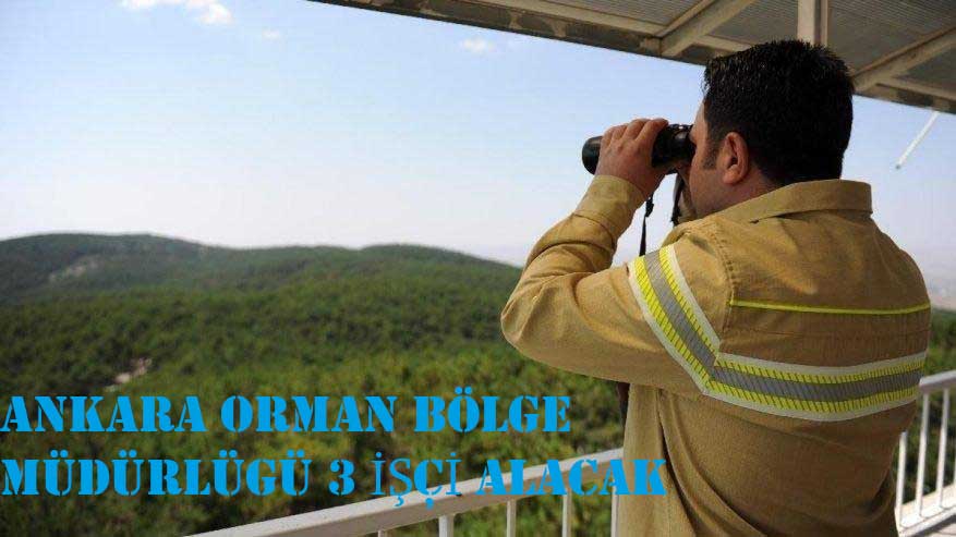 Ankara Orman Bölge Müdürlüğü İşçi Alacak