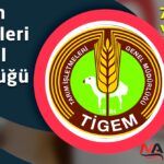TİGEM 7 Müfettiş Yardımcısı Alımı Yapacak