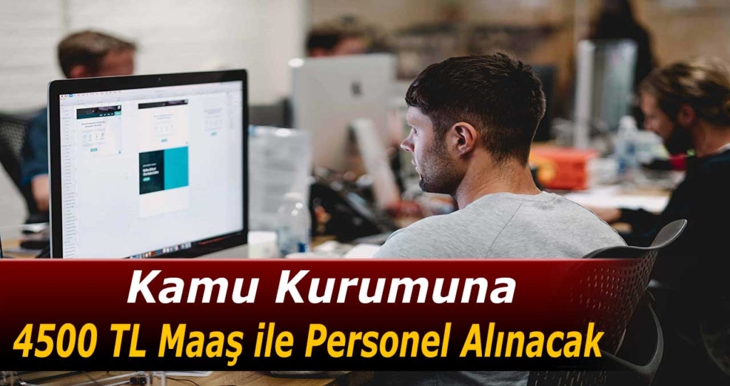 Düz Memur Alımı İlanları