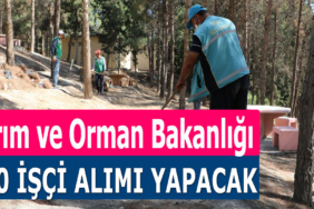 Tarım ve Orman Bakanlığı Temizlik İşçi Alımı İlanları