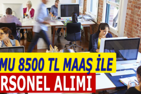 Petrol Müdürlüğü İşçi Alımı İlanları