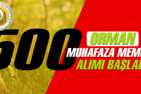 Orman Genel Müdürlüğü 5000 Orman Muhafaza Memuru Alımı Başlasın
