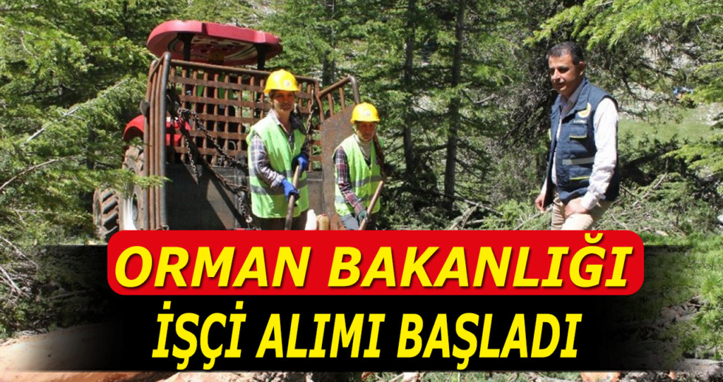 Orman Bakanlığı 188 Adet Sürekli İşçi Alımı