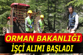 Orman Bakanlığı 188 Adet Sürekli İşçi Alımı
