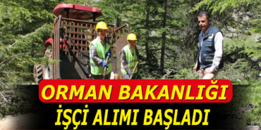 Orman Bakanlığı 188 Adet Sürekli İşçi Alımı Orman Bakanlığı 188 Adet Sürekli İşçi Alımı