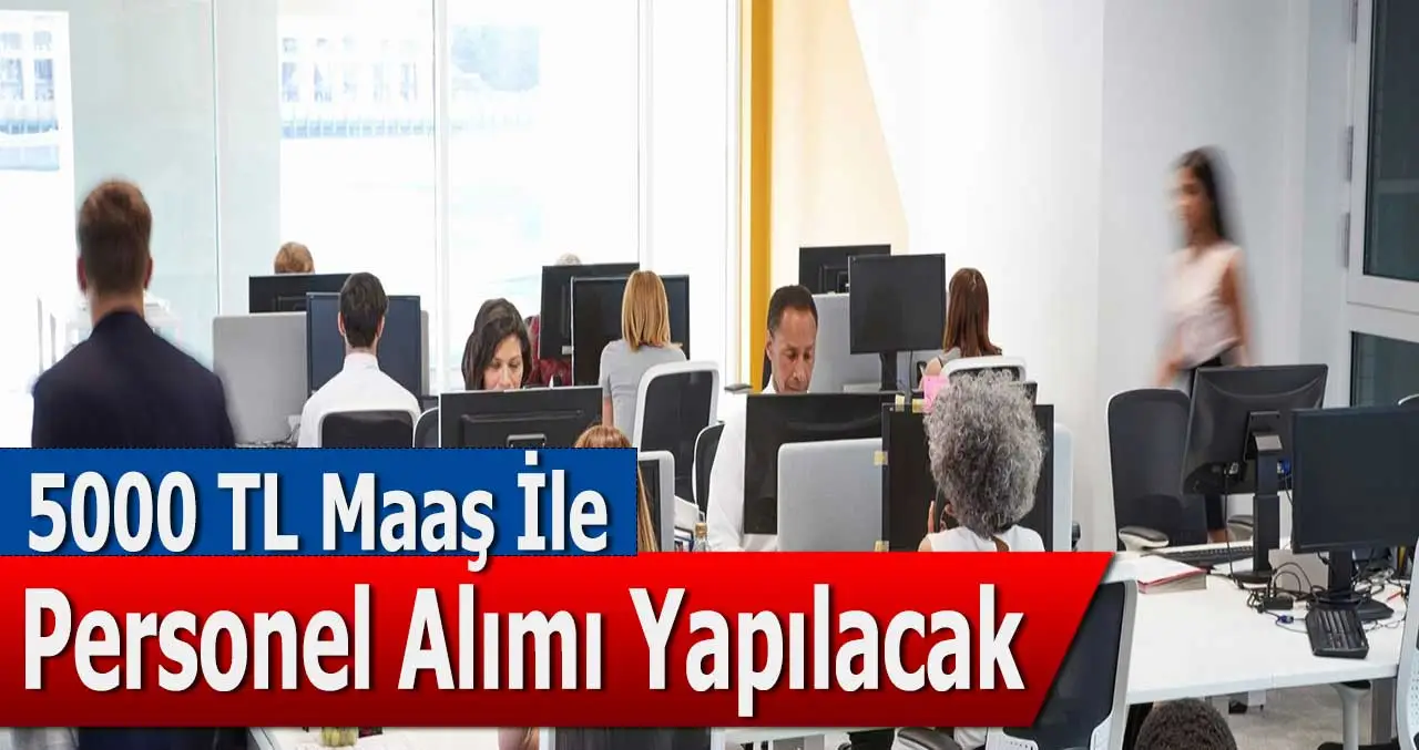 Kamu Destek Personeli Alımı! KPSS Şartı Yok!