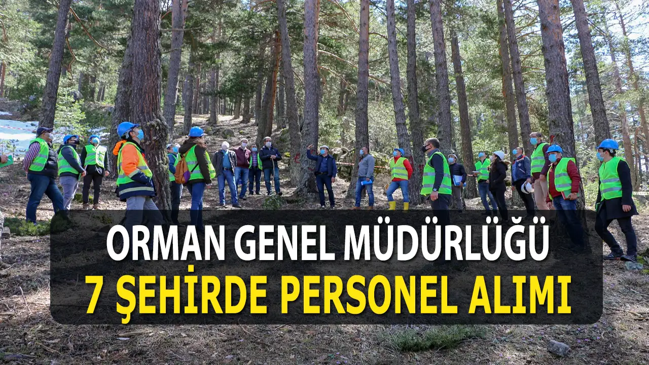 Orman Genel Müdürlüğü 7 şehirde kamu personel alımı