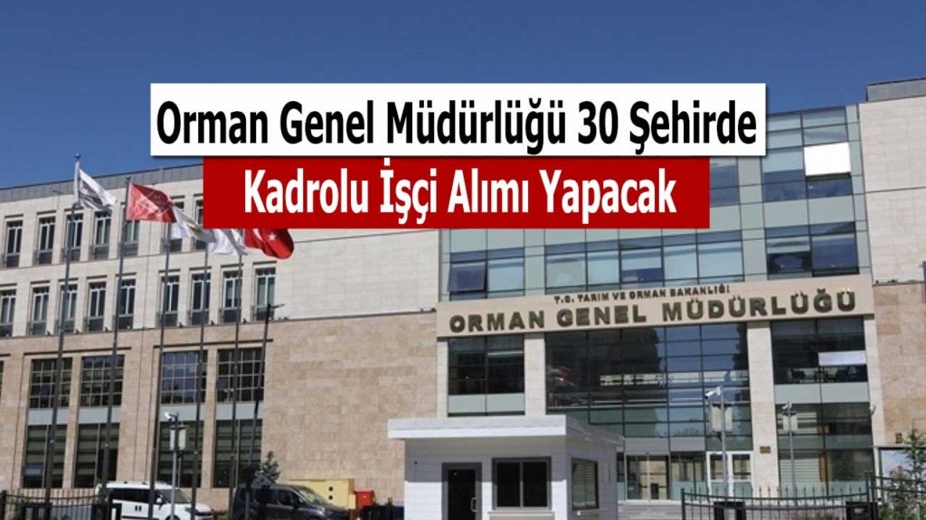 Orman genel müdürlüğü 30 şehirde İŞKUR ile sürekli işçi alımı