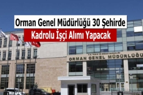 Orman genel müdürlüğü 30 şehirde İŞKUR ile sürekli işçi alımı