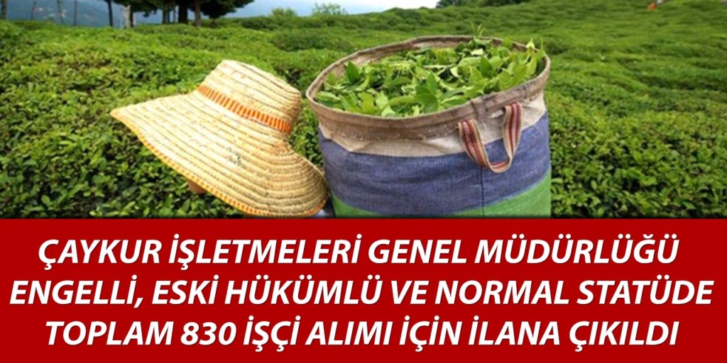 ÇAYKUR İşletmeleri Genel Müdürlüğü 830 İşçi Alımı Duyuruldu