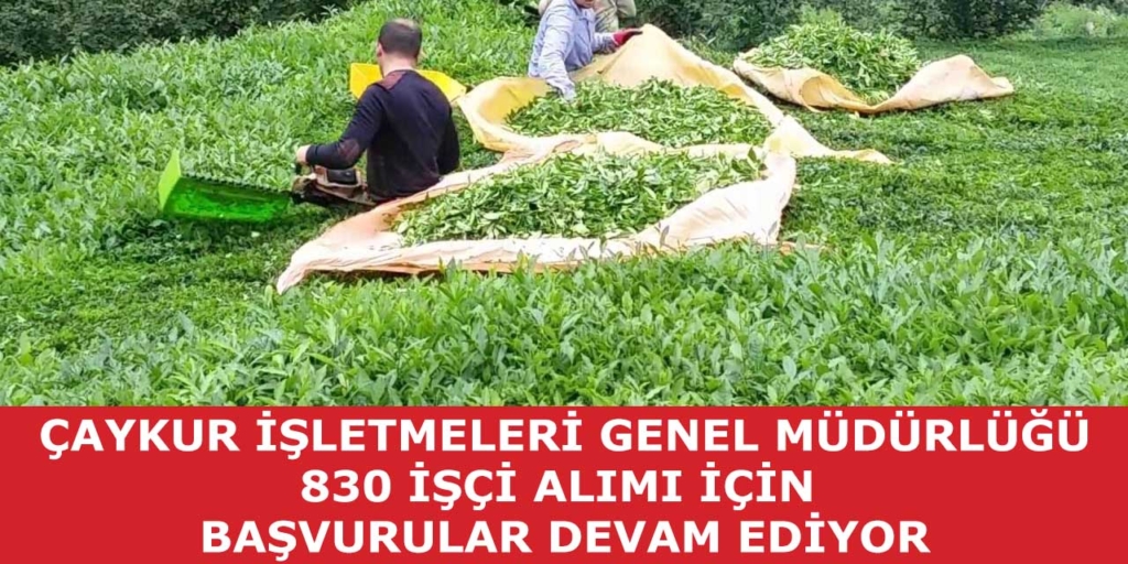 ÇAYKUR İşletmeleri Genel Müdürlüğü 830 İşçi Alımı Başvuruları Devam Ediyor