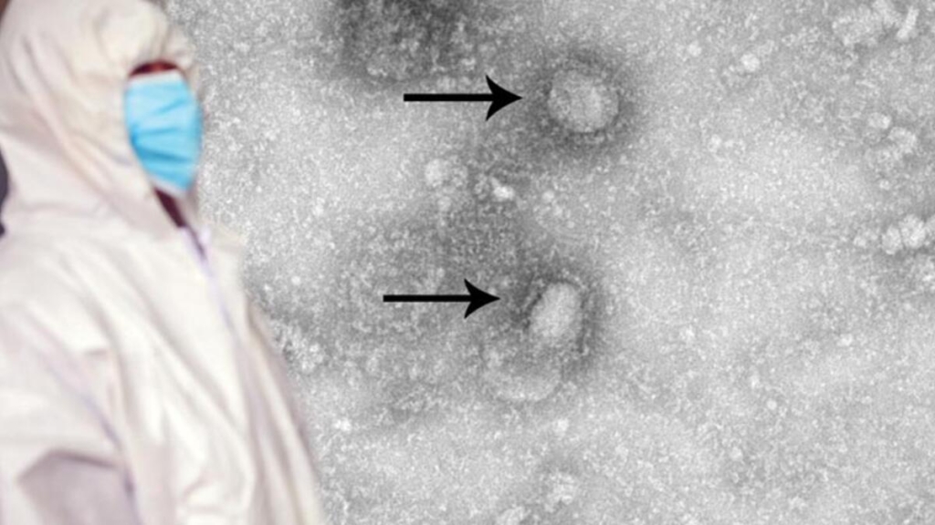 İngiliz Bilim İnsanı: Koronavirüse Karşı Savaşı Kaybettik